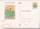 Bnk cp Cactusi - necirculata - marca fixa - 020/97