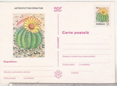bnk cp Cactusi - necirculata - marca fixa - 020/97 foto