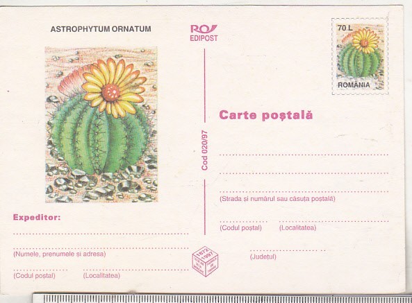 bnk cp Cactusi - necirculata - marca fixa - 020/97