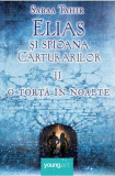 O torță &icirc;n noapte (seria Elias şi spioana Cărturarilor, vol. 2)