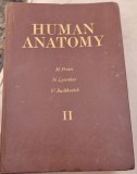 M. PRIVES, N. Lysenkov, V. Bushkovich - Human Anatomy Vol II