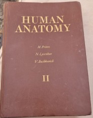 M. PRIVES, N. Lysenkov, V. Bushkovich - Human Anatomy Vol II