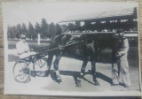 Calaret si cal de curse, posibil Hipodromul din Ploiesti// foto