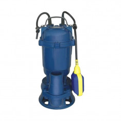 Pompa submersibila cu flotor Gospodarul Profesionist, 550 W, 2860 rpm, 10000 l/h, adancime 8 m foto