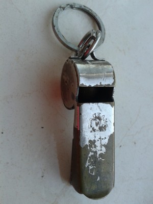 ARADEANCA FLUIER VECHI foto