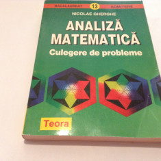 NICOLAE GHERGHE ANALIZA MATEMATICA CULEGERE DE PROBLEME,RF10/0