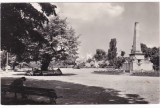 AMS - ILUSTRATA 1274, IASI - OBELISCUL CU LEI SI TEIUL LUI EMINESCU , ANUL 1961