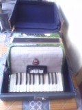 Acordeon Timis Perioada comunista culoare Smarald