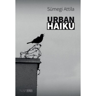 Urban haiku - S&amp;uuml;megi Attila foto