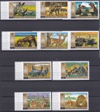 DB1 Fauna Africana Animale 1972 Rwanda Ruanda 10 v. MNH NDT margine coala