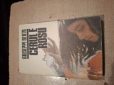 Giuseppe Berto - Cerul e rosu