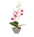 Cumpara ieftin Orhidee artificiala cu o tija in ghiveci , Alb,30 cm, Oem