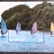 St. VINCENT 1988 SURFING COLITA MNH NESTAMPILATA