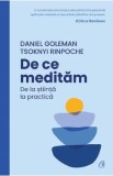 De ce meditam. De la stiinta la practica - Daniel Goleman, Tsoknyi Rinpoche