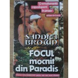 FOCUL MOCNIT DIN PARADIS-SANDRA BROWN-90788