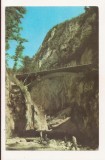 RF188 - Carte Postala - Cheile Oltetului, circulata 1965