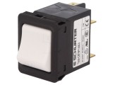 &Icirc;ntrerupător de Supracurent 10A DPST 240VAC 60VDC