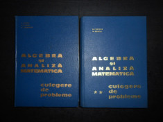 N. DONCIU, D. FLONDOR - ALGEBRA SI ANALIZA MATEMATICA. CULEGERE DE PROBLEME foto