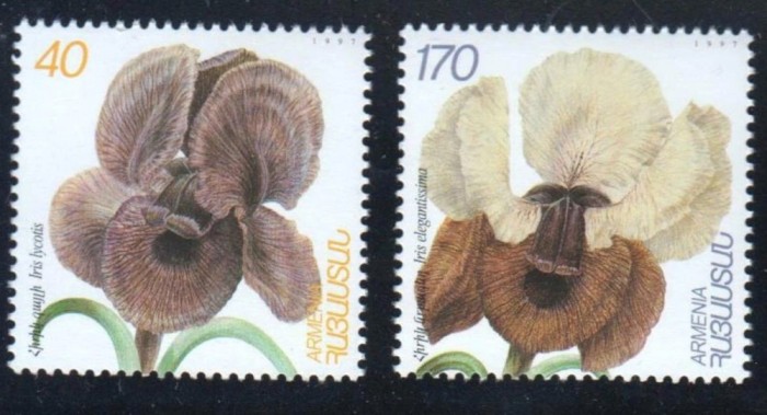 Armenia 1997 - Flori, flora, serie neuzata