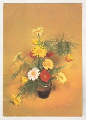 bnk cp Felicitare - Flori - 0040/82 - circulata - marca fixa foto