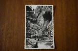 CP Cheile Bicazului Bicaz Regiunea Lacului Rosu Ghilcos Gatul Iadului 1937