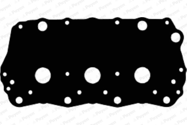 PAYEN JM5035 Garnitura, capac supape