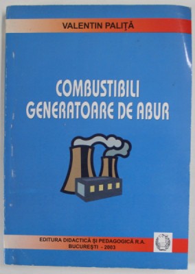 COMBUSTIBILI GENERATOARE DE ABURI de VALENTIN PALITA , 2003 foto