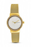 Skagen ceas femei, culoarea auriu, SKW2717
