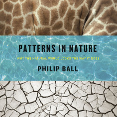 Patterns in Nature: Why the Natural World Looks the Way It Does