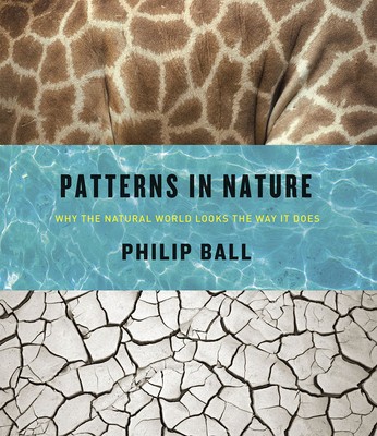 Patterns in Nature: Why the Natural World Looks the Way It Does foto