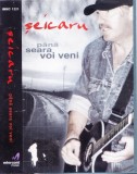 Caseta audio: Vasile Seicaru - Pana seara voi veni ( originala, stare f. buna ), Casete audio, Folk