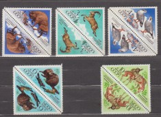 A12 S5 1 - Timbre foarte vechi - fosta URSS - animale salbatice