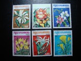CAMBODGIA FLORI
