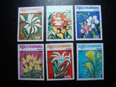 CAMBODGIA FLORI foto