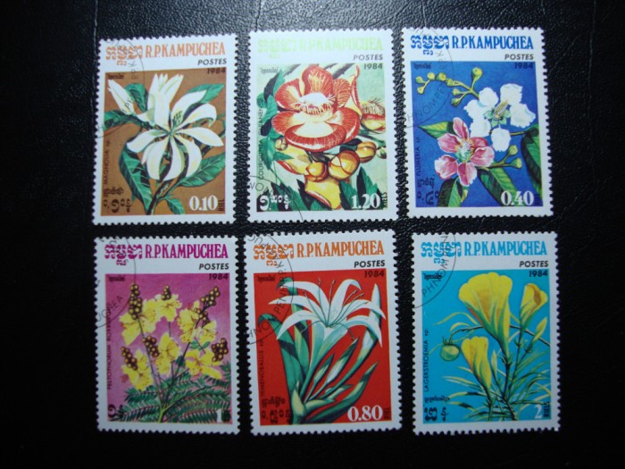 CAMBODGIA FLORI