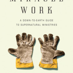 Miracle Work: A Down-To-Earth Guide to Supernatural Ministries