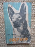 COLT ALB - JACK LONDON