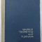 BAZELE TEORETICE ALE TURNARII de D. BRISCAN , 1966 , LIPSA PAGINA DE TITLU *