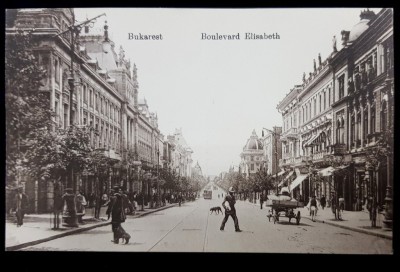 Bukarest. Boulevard Elisabeth - Carte postala ilustrata foto