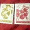 2 Timbre Bulgaria 1965 - Fructe