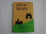RODICA OJOG - BRASOVEANU - SPIONAJ LA MANASTIRE