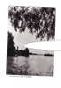 CP Navigatie in Delta Dunarii, RPR, necirculata, stare foarte buna, Printata, Tulcea