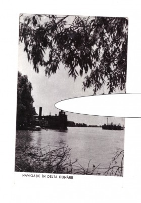CP Navigatie in Delta Dunarii, RPR, necirculata, stare foarte buna foto