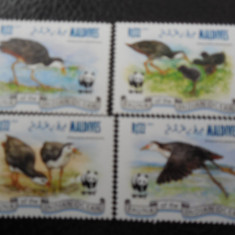 Maldives-Fauna wwf,pasari-serie completa,nestampilate MNH