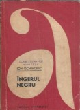 Ingerul negru - Ion Ochinciuc, roman, editura Tineretului, aventura, 1969, 333 pagini, literatura romana, carte veche