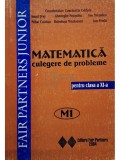 Constantin Udriste (coord.) - Matematica: culegere de probleme pentru clasa a XI-a M1 (Editia: 2004)