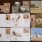 niger - antilopa addax - serie 4 timbre MNH, 4 FDC, 4 maxime, fauna wwf