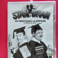 STAN SI BRAN - UN PROSTANAC LA OXFORD DVD FILM