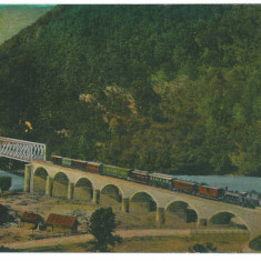 5393 - TURNU ROSU, Sibiu, Train on the Bridge - old postcard - used - 1915