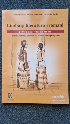 LIMBA SI LITERATURA RROMANI Manual anul VIII de studiu Borcoi, Pandelica, Sarau foto